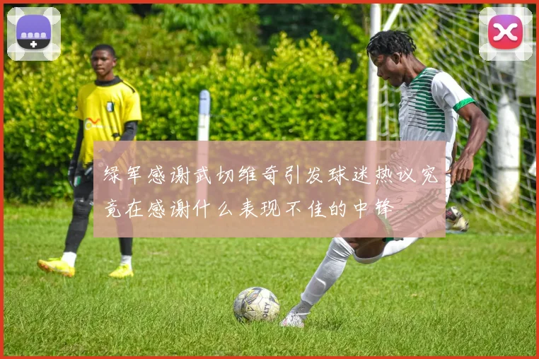 绿军感谢武切维奇引发球迷热议究竟在感谢什么表现不佳的中锋